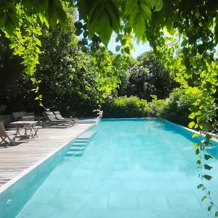 Βίλα Magnifique Mas Avec Piscine Et Hammam A 5 Min D'uzes